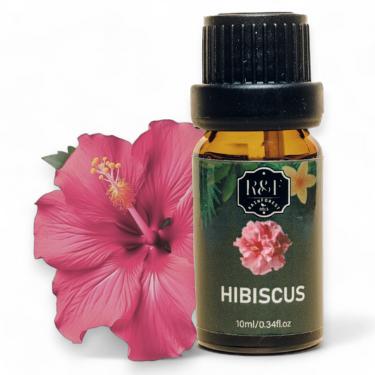 Hibiscus